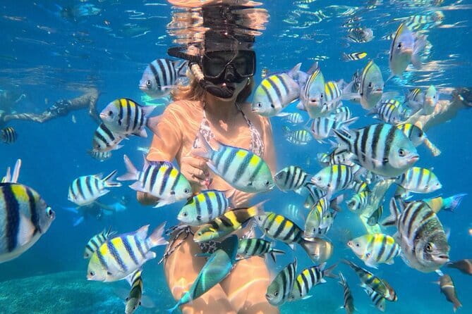 Bali : Blue Lagoon Snorkeling combine with Bali Swing in Ubud - Tanjung Jepun snorkeling: when you want better underwater shots