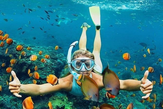 Bali : Blue Lagoon Snorkeling combine with Bali Swing in Ubud - Price and value: is $70 fair for this Bali day?