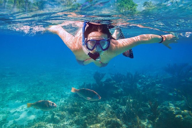 Bali Blue Lagoon Snorkeling Experience - Drivers and guides: the names behind the great days
