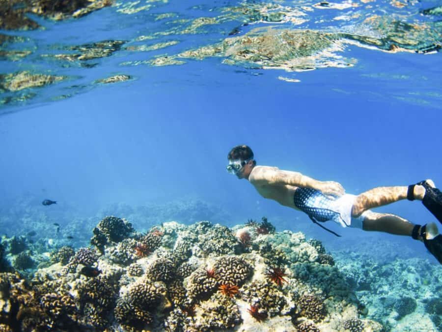 Bali: Blue Lagoon Snorkeling Inclusive of Lunch & Transport - Door-to-door transport and a 5–6 hour day that stays relaxed