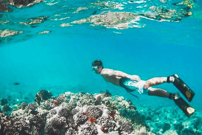 Bali Blue Lagoon Snorkeling - Lunch and Transport All Inclusive - Lempuyang Temple: the Gates of Heaven photo stop (and the real waiting game)