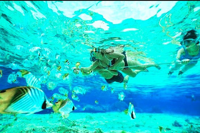 Bali Blue Lagoon Snorkeling - Lunch and Transport All Inclusive - Transport in Bali: why the day can feel longer than six hours