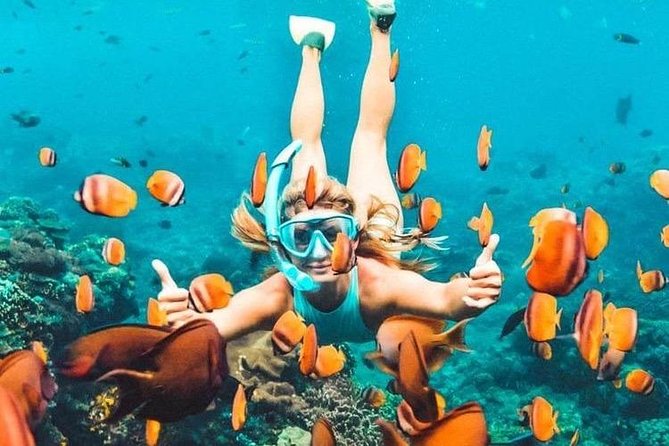 Bali Blue Lagoon Snorkeling - Lunch and Transport All Inclusive - Blue Lagoon Beach snorkeling: what you’ll actually see underwater