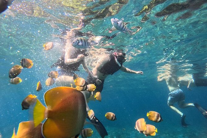 Bali Blue Lagoon Snorkeling Ticket And Transfer - Key Highlights Worth Knowing