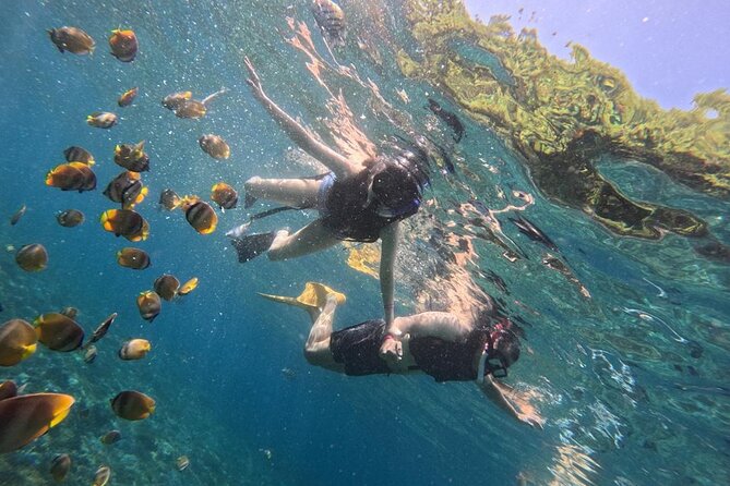 Bali Blue Lagoon Snorkeling Ticket And Transfer - Shower, Lunch by the Sea, and Unlimited Water: The Stuff You’ll Actually Notice