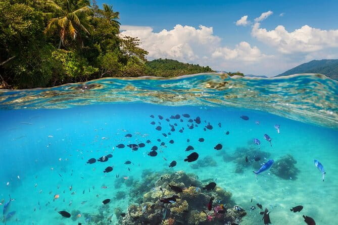 Bali Blue Lagoon Snorkeling Tour All Inclusive - What all-inclusive means here: more than just a slogan
