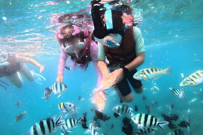 Bali Blue Lagoon Snorkeling Tour All Inclusive - Lunch in Bali: a real break, not an afterthought