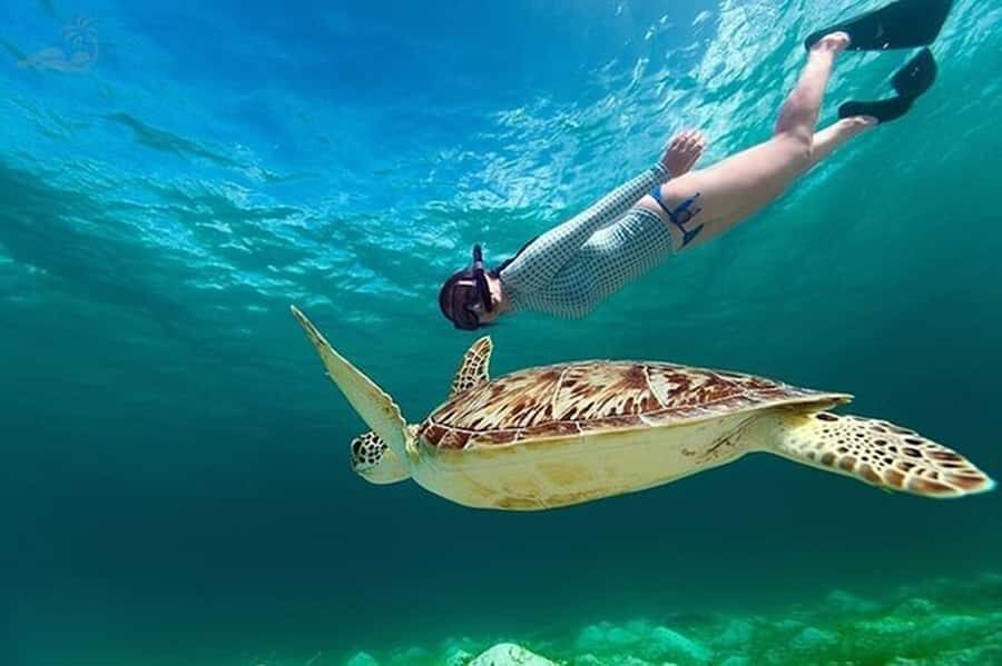 Bali: Blue Lagoon Snorkeling Tour with Bali Quad Bike - Lunch at Puri Rai Restaurant: Real Bali Fuel Between Two Activities