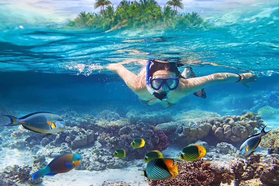 Bali: Blue Lagoon Snorkeling Tour with Bali Quad Bike - Price and Value: What $73 Gets You (and What You Must Pack)