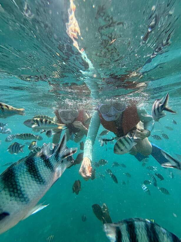 Bali: Blue Lagoon Snorkeling, Waterfall, and Plantation - Tanjung Jepun: Where the Fish Can Feel Right There