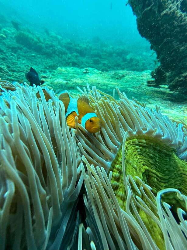 Bali: Blue Lagoon Snorkeling, Waterfall, and Plantation - Who This Bali Tour Fits Best (and Who Should Skip It)