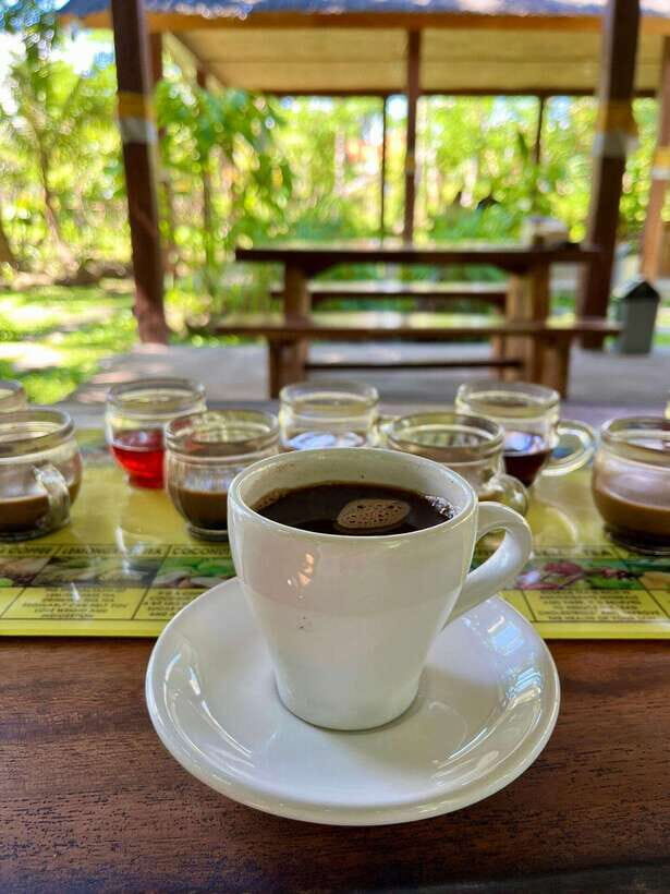 Bali: Blue Lagoon Snorkeling, Waterfall, and Plantation - Your Day Plan: Pickup, Meeting Point, and Two Short Snorkel Sessions