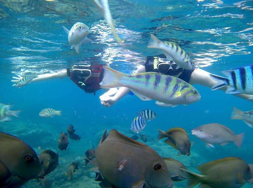 Bali: Blue Lagoon Snorkeling & Waterfall Tour - Key Points at a Glance