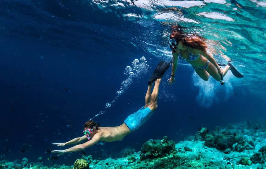 Bali: Blue Lagoon Snorkeling with Lunch & Transport - Key takeaways before you go