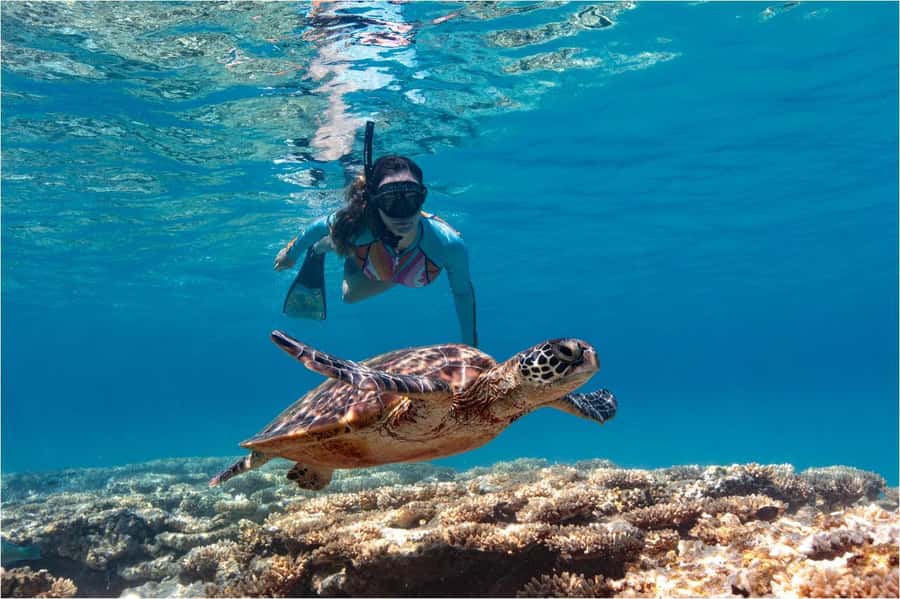 Bali: Blue Lagoon Snorkeling with Lunch & Transport - Boat transfer and snorkeling rhythm