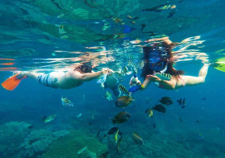 Bali: Blue Lagoon Snorkeling with Lunch & Transport - Blue Lagoon Beach snorkeling: turtles and fish on calm water