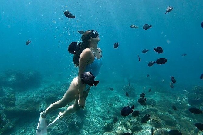 Bali Blue Lagoon Snorkeling with Optional Tour & Activities - What Bali Blue Lagoon Snorkeling Really Gives You