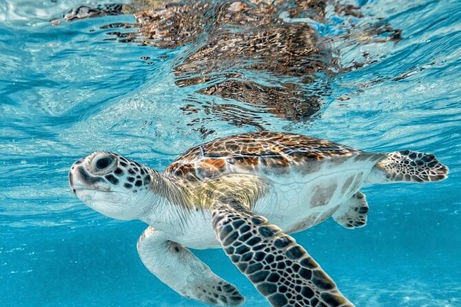 Bali Blue Lagoon Snorkeling with Optional Tour & Activities - Batuan Temple: Ending With Architecture That Feels Like Real Bali