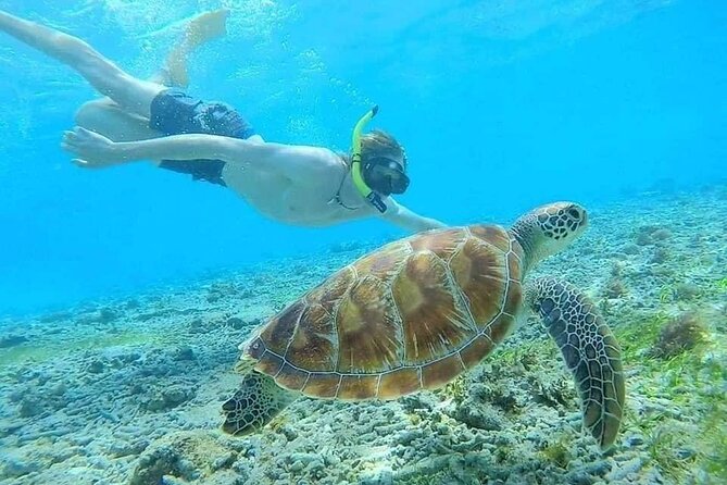 Bali Blue Lagoon Snorkeling with Private Transfer & Lunch - Lunch at Topi Inn: what you’ll actually eat
