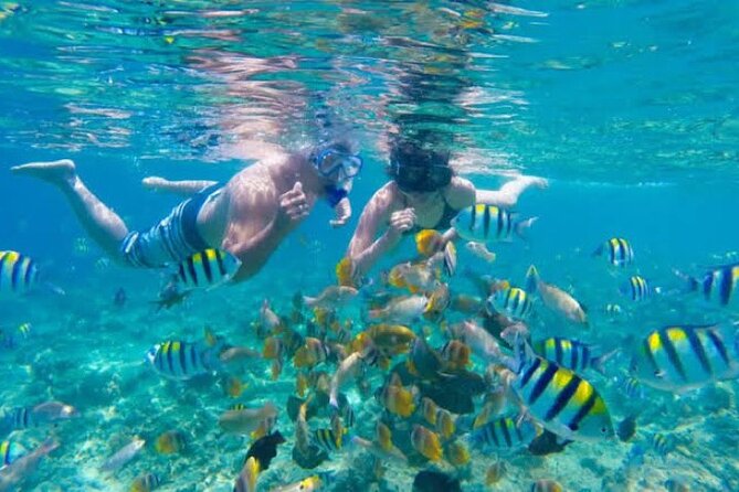 Bali Blue Lagoon Snorkeling with Private Transfer & Lunch - The private transfer from Seminyak: the day stays simple