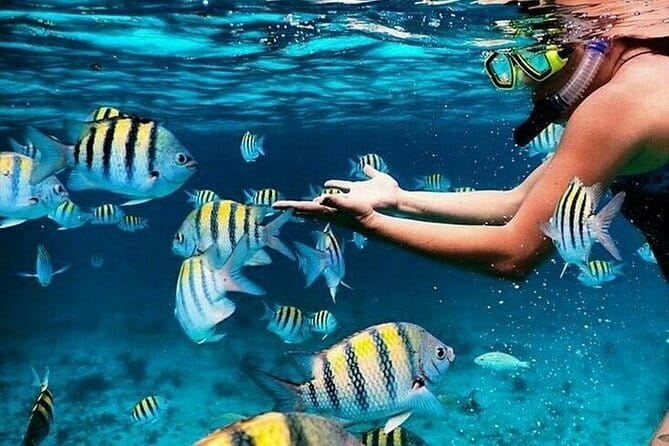 Bali Blue Lagoon Snorkeling with Waterfalls Tour - all included - Key highlights you’ll feel fast