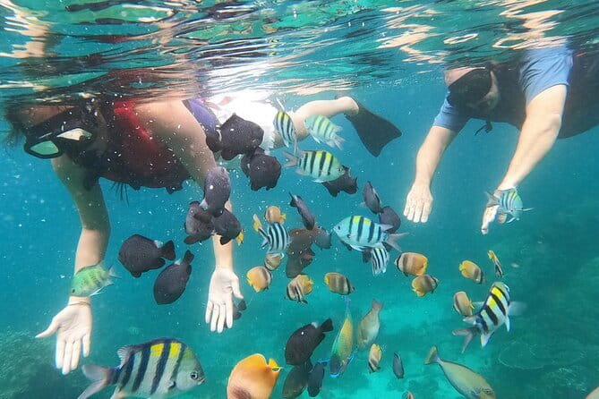 Bali Blue Lagoon Snorkeling with Waterfalls Tour - all included - Padangbai as a change of scenery