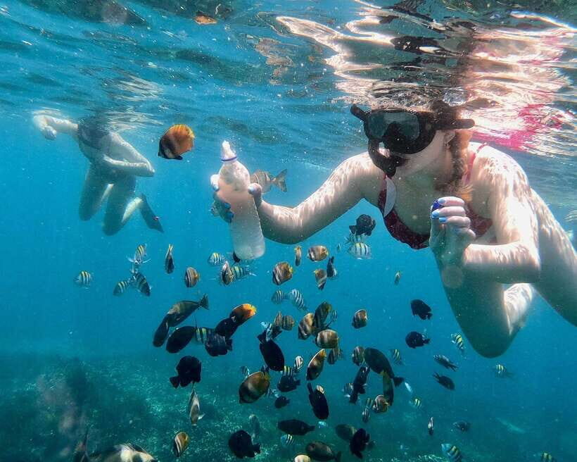 Bali: Blue Lagoon & Tanjung Jepun Snorkeling & lunch - Boat and gear details that make snorkeling days easier