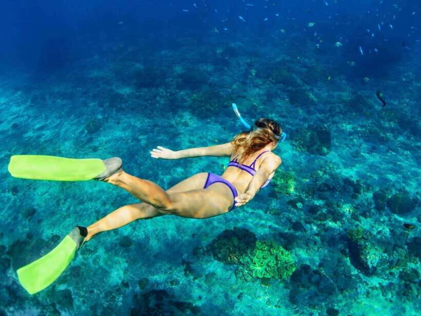 Bali: Blue Lagoon & Tanjung Jepun Snorkeling & lunch - Pickup in Seminyak or Ubud and the Padangbai setup