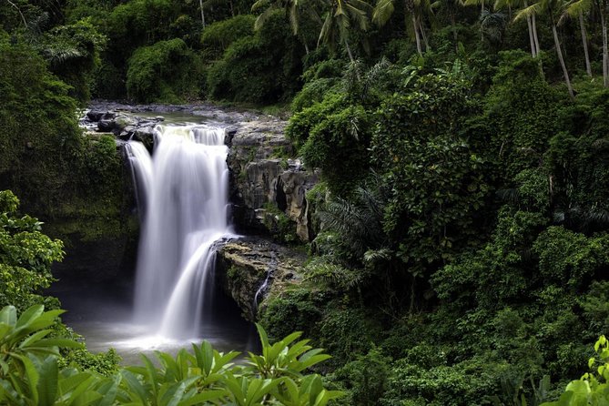 Bali Breathtaking Waterfall Tour (Private & All-Inclusive) - Private driver/guide: why it matters more than you think