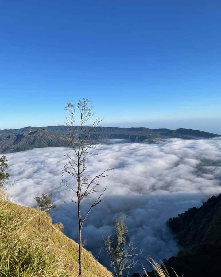 Bali: Caldera Sunrise Trek and Natural Hot Spring - Coffee Plantation Stop: Luah Coffee and Cocoa Tasting