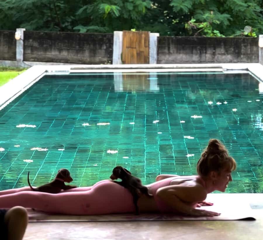 Bali: Canggu & Uluwatu Puppy Yoga Class & Refreshing Drinks - Key Points Worth Knowing