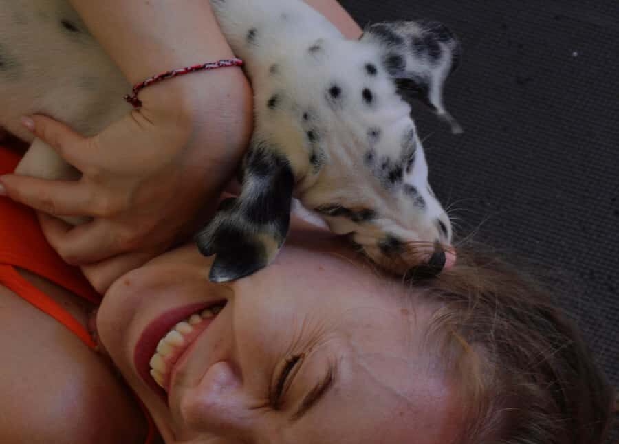 Bali: Canggu & Uluwatu Puppy Yoga Class & Refreshing Drinks - Puppies on You, Clean and Vaccinated: What Care Looks Like in Real Life