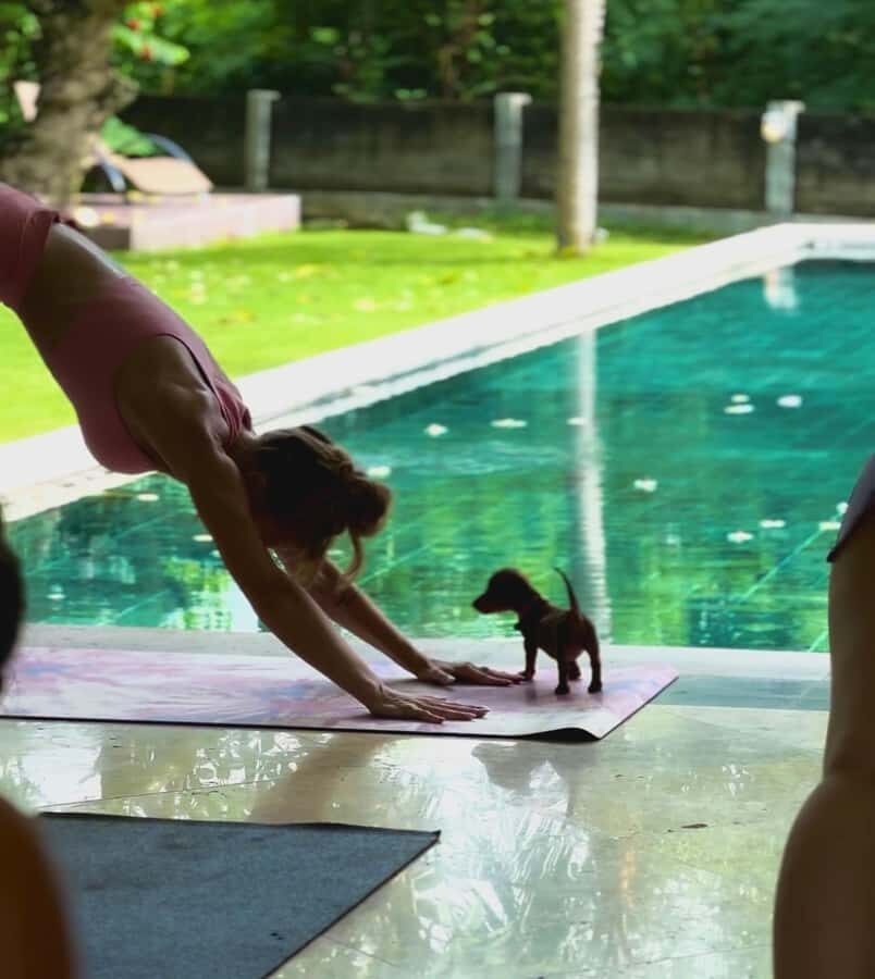 Bali: Canggu & Uluwatu Puppy Yoga Class & Refreshing Drinks - Drinks, Towels, and Photo Moments Without the Awkwardness
