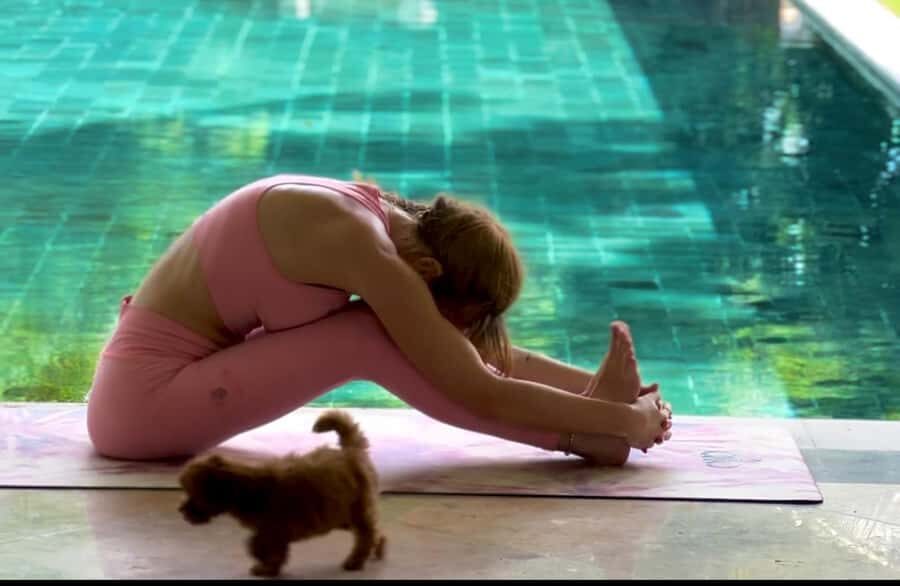 Bali: Canggu & Uluwatu Puppy Yoga Class & Refreshing Drinks - Who This Is Best For (And Who Might Want Another Option)