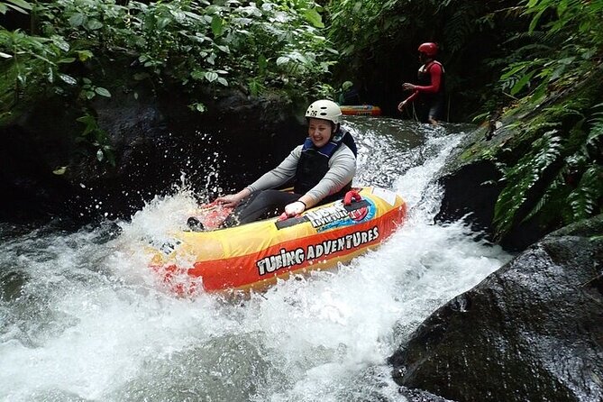 Bali: Canyon Tubing Adventure - Rainforest Encounters You Can Actually See: Plants, Animals, and Monkey Chances