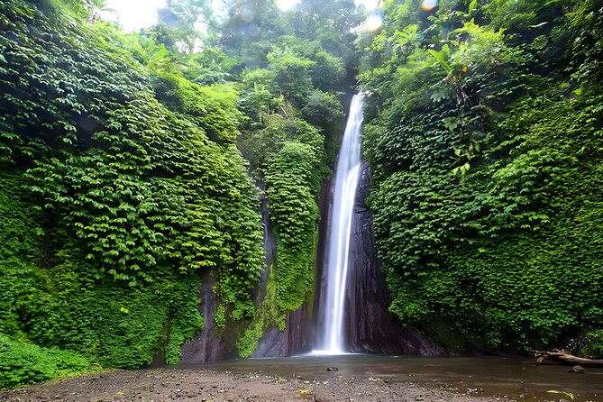 Bali Car-Charter: Amazing North Bali Tour - Private North Bali With a Chauffeur: What You’re Really Buying