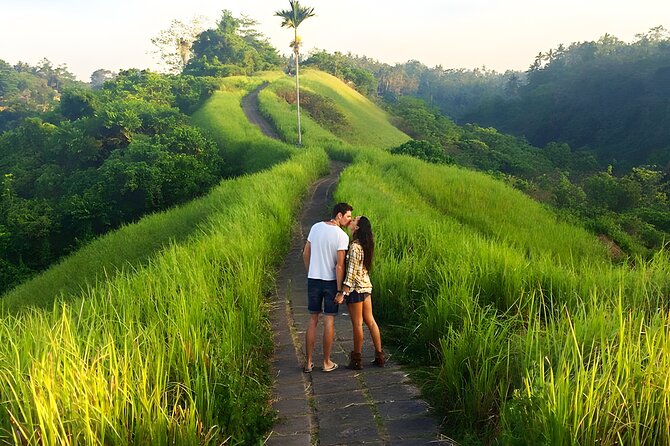 Bali Car-Charter: Go as your own trip to Ubud - Price and Value: What $30 Buys You (and What It Doesn’t)
