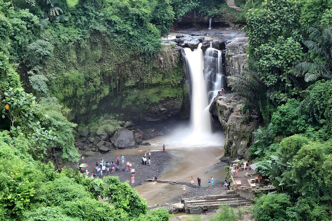 Bali Car-Charter: Go as your own trip to Ubud - Your Driver and Car: Practical Comfort for a Long Ubud Day