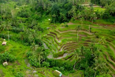 Bali Car-Charter: Ubud Full Day Tour - Tegenungan Waterfall: the classic viewpoint stop