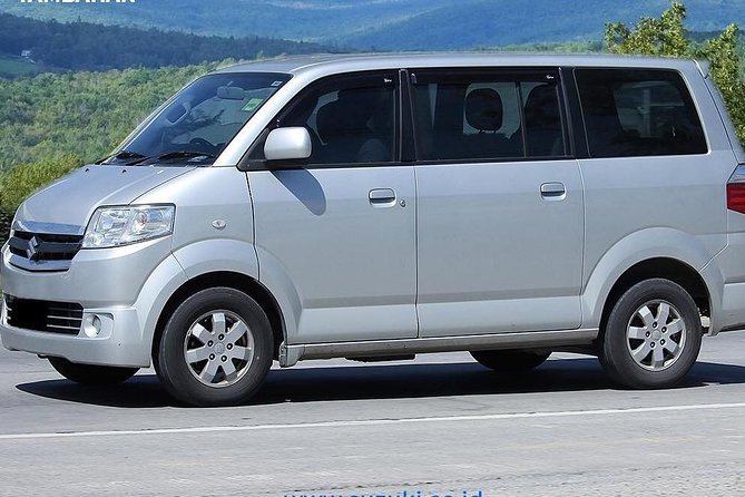 Bali Car Charter Your Own Tour Initenery - The Planned Route: Ubud Palace and the Art Market