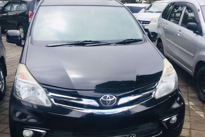 Bali Car Hire with Driver - A sample day plan that matches common requests