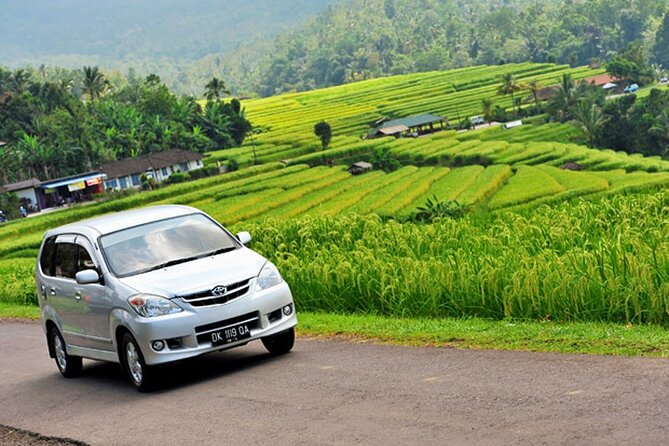 Bali Car Hire with Driver - Best-fit situations: who should book this?