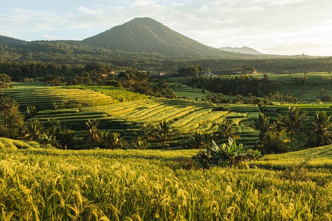 Bali Charm: Full-Day Bedugul and Tanah Lot Tour (UNESCO) - All Inclusive Tickets - Stop 4: Tanah Lot Temple—sea-side temple with a tide-dependent look