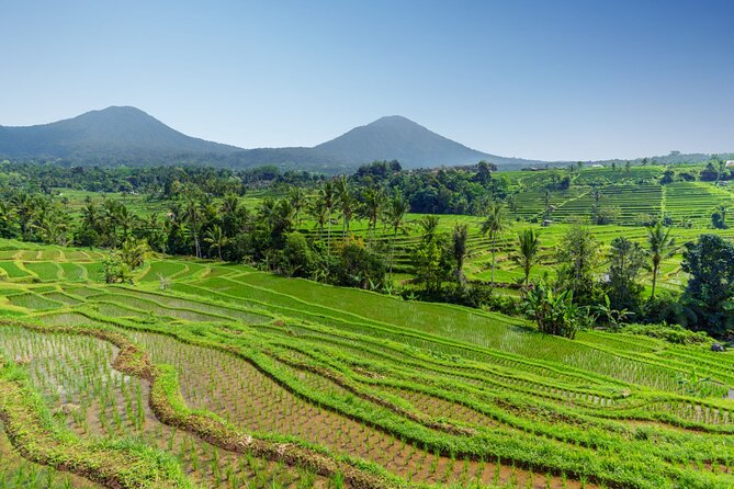 Bali Charm: Full-Day Bedugul and Tanah Lot Tour (UNESCO) - All Inclusive Tickets - Optional add-ons: choose the style you want before you run out of time