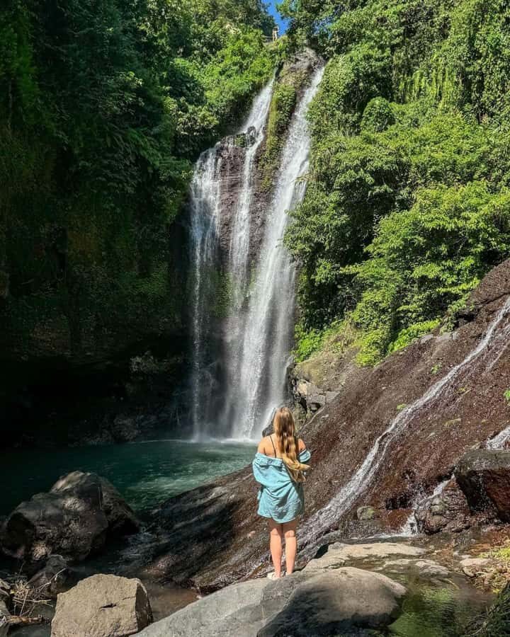 Bali: Cliff Jumping Gitgit Waterfalls & Rice Terrace Tour - Gitgit Waterfall: Jungle Paths, Stream Crossings, and That Big Noise