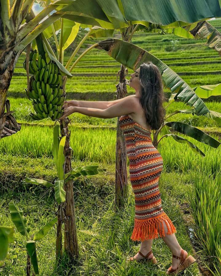 Bali: Cliff Jumping Gitgit Waterfalls & Rice Terrace Tour - Singaraja Lunch Break: Fuel with Local Food, at Your Own Cost