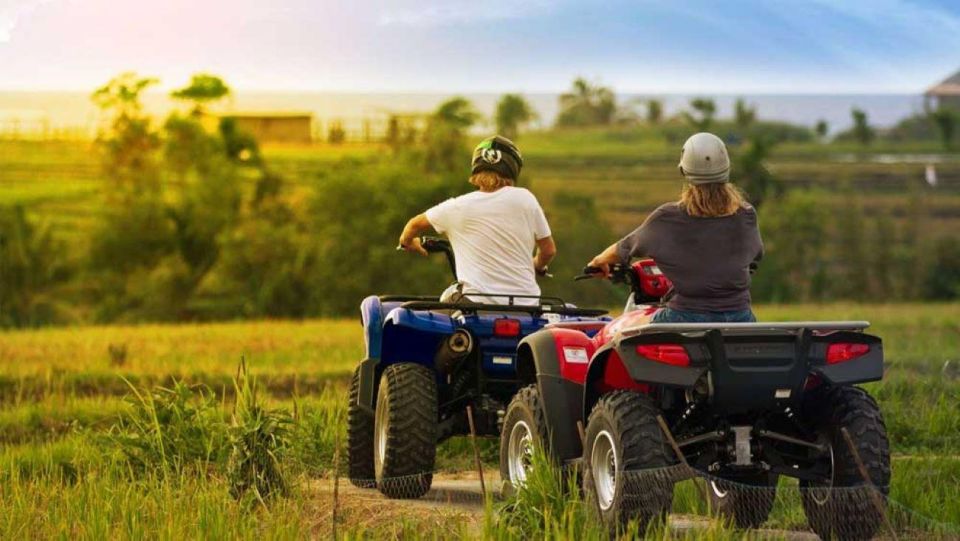Bali: Costumized Tour with Private Transport and Guide - Timing reality check: late starts and cruise-call planning
