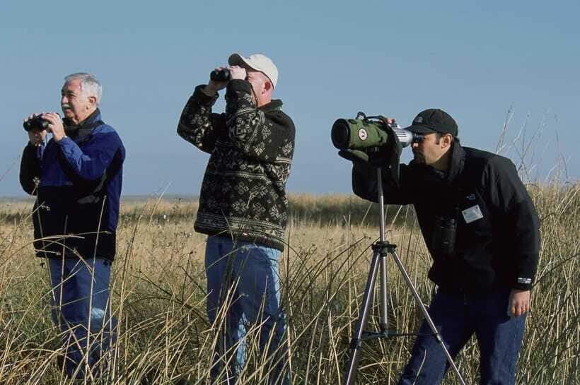 Bali: Countryside Bird Watching Tour with Hotel Transfer - When you’ll see more birds: season, time of day, and weather