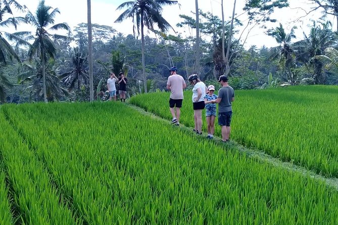 Bali Countryside Cycling Adventure - Key points I’d pencil into your day