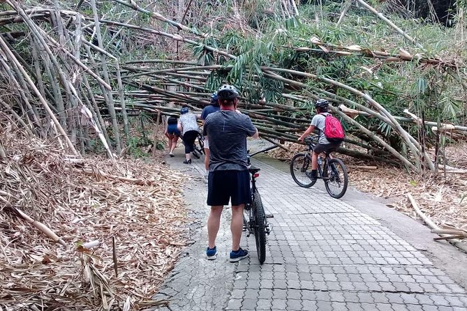 Bali Countryside Cycling Adventure - Penglipuran Village: stepping into a traditional layout